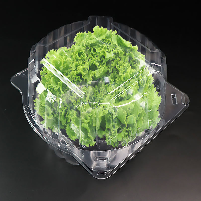 Recipiente de ampolla transparente RPET o Pet Clamshell para ensalada de 1 libra Herbe Lechuga Packaging Box