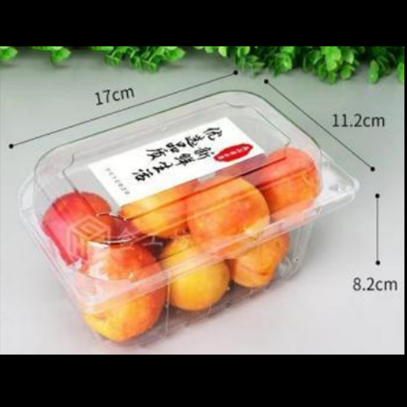 Caja de frutas con tapa 170*112*82 mm HGF-300L