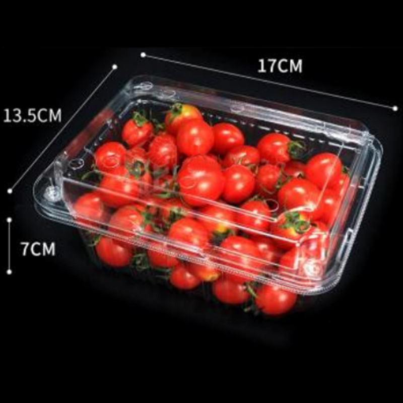 Caja de frutas con tapa 175*137*75 mm HGF-500B