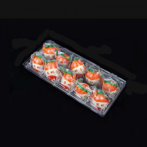 Bandeja de huevo de pato 195*125*75 mm 10 ranuras